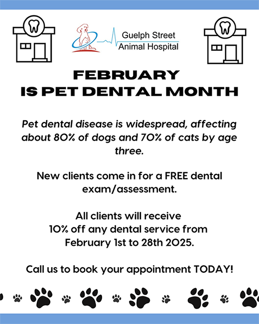 FEBRUARY IS PET DENTAL MONTH | Pet dental disease is widespread, affecting about 80% of dogs and 70% of cats by age three. New clients come in for a FREE dental exam/assessment. All clients will receive 10% off any dental service from February 1st to 28th 2025.